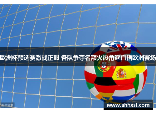 欧洲杯预选赛激战正酣 各队争夺名额火热角逐直指欧洲赛场