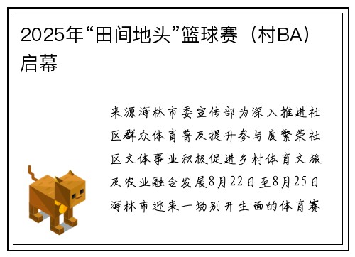 2025年“田间地头”篮球赛（村BA）启幕